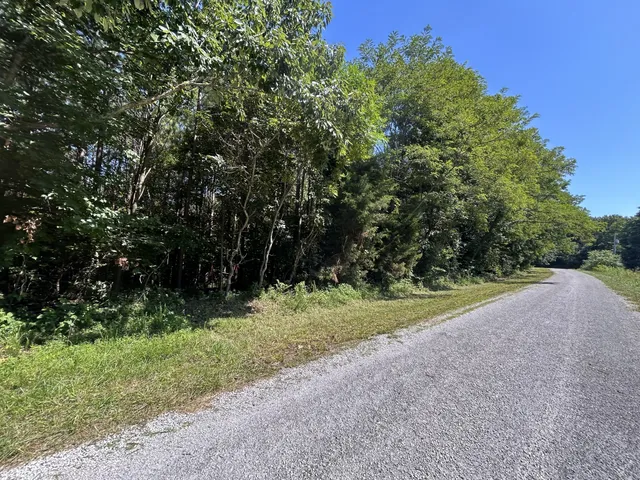 $167,500 | 0 East Cave Spring Road, Pulaski, TN 38478