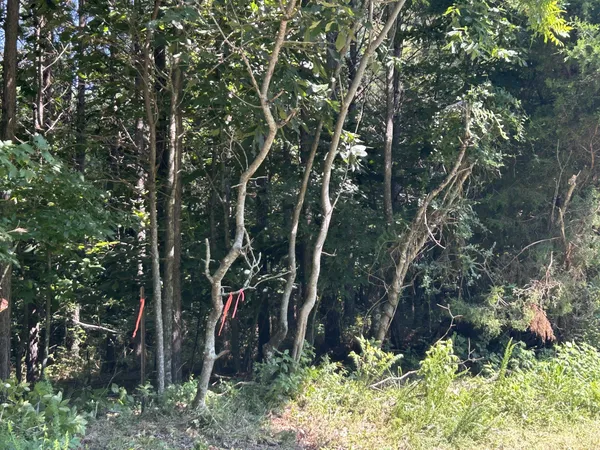 $167,500 | 0 East Cave Spring Road, Pulaski, TN 38478