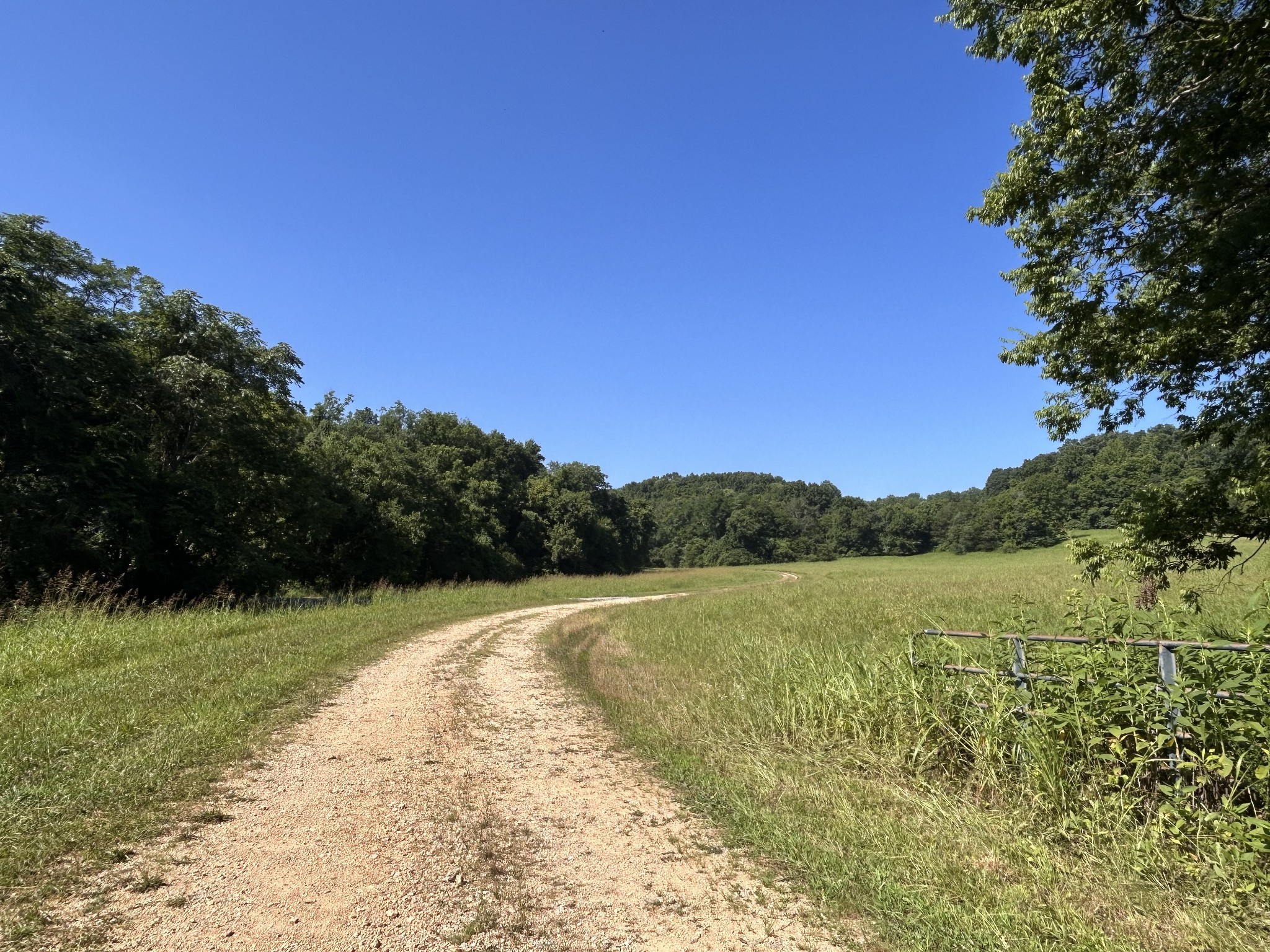 0 East Cave Spring Road Pulaski, TN 38478 - Photo 7 of 93