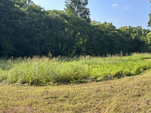 $167,500 | 0 East Cave Spring Road, Pulaski, TN 38478