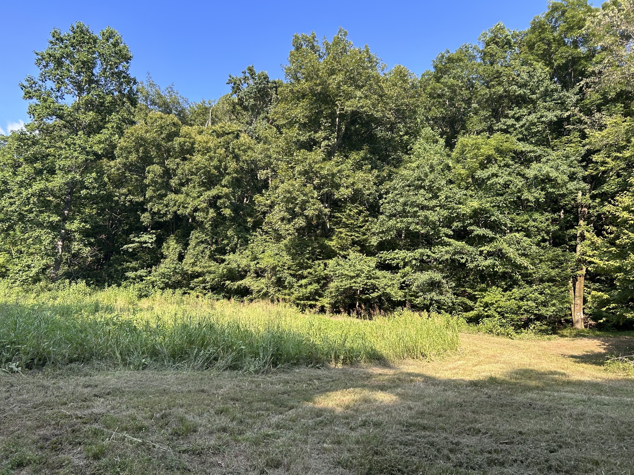 0 East Cave Spring Road Pulaski, TN 38478 - Photo 76 of 93