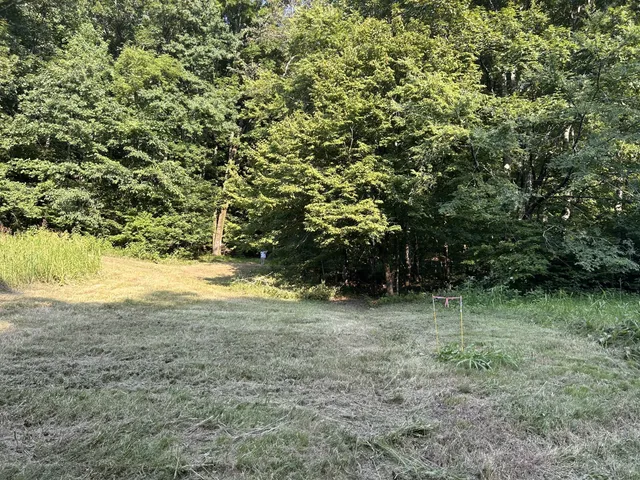 $167,500 | 0 East Cave Spring Road, Pulaski, TN 38478