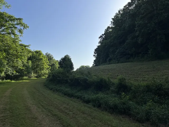 $167,500 | 0 East Cave Spring Road, Pulaski, TN 38478