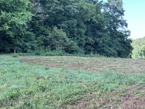 $167,500 | 0 East Cave Spring Road, Pulaski, TN 38478