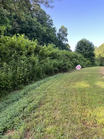 $167,500 | 0 East Cave Spring Road, Pulaski, TN 38478