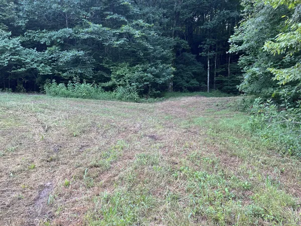 $167,500 | 0 East Cave Spring Road, Pulaski, TN 38478