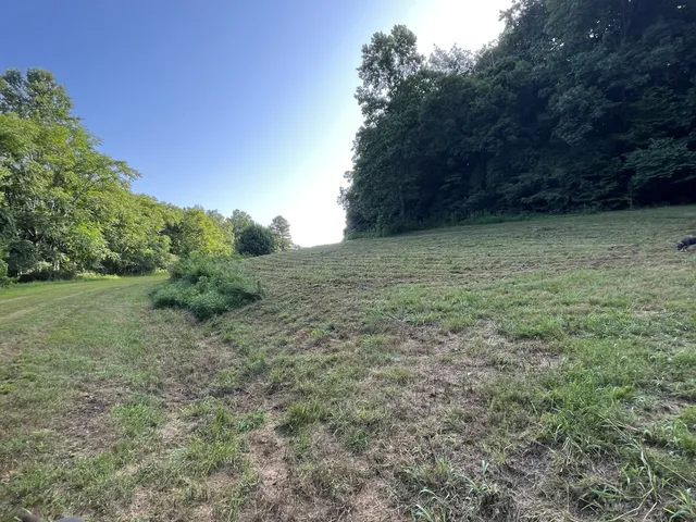 $167,500 | 0 East Cave Spring Road, Pulaski, TN 38478