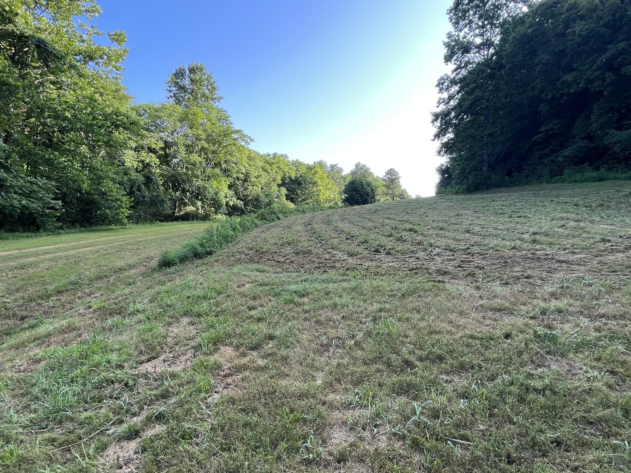 0 East Cave Spring Road Pulaski, TN 38478 - Photo 88 of 93