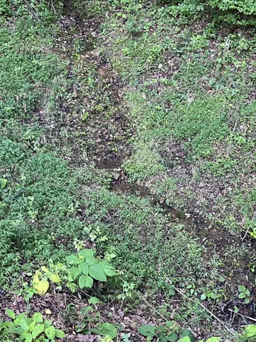 $167,500 | 0 East Cave Spring Road, Pulaski, TN 38478