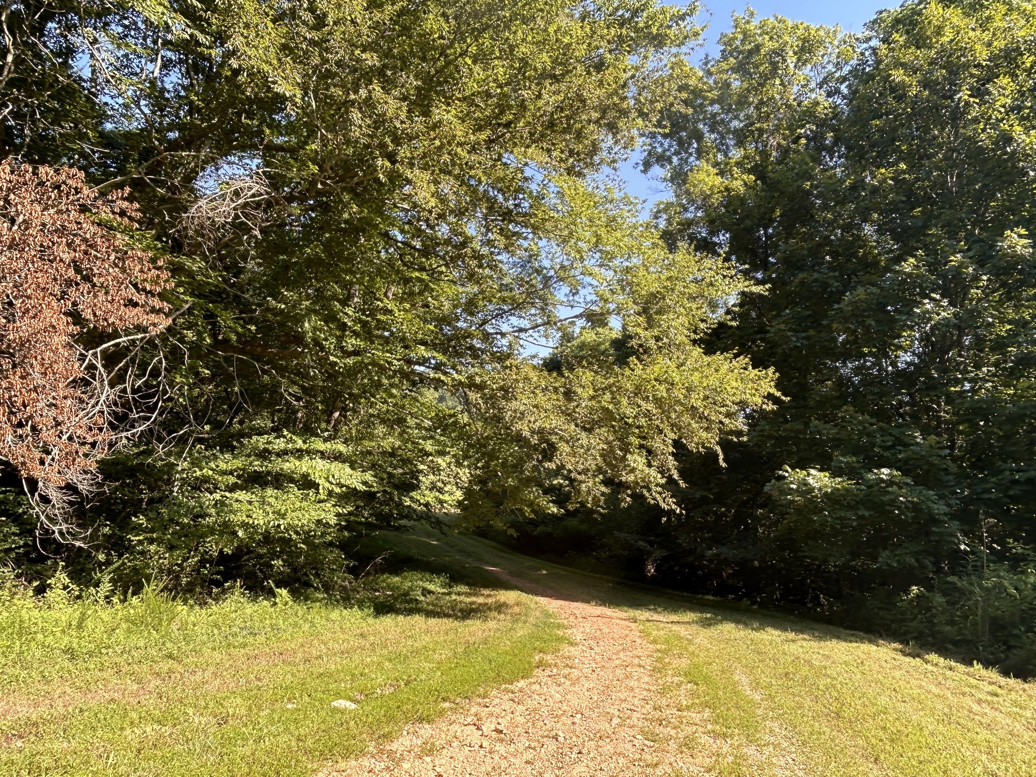 0 East Cave Spring Road Pulaski, TN 38478 - Photo 9 of 93