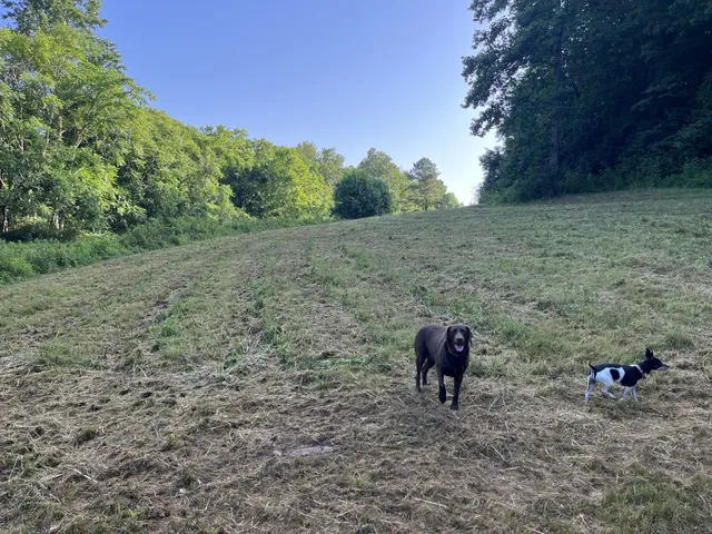 $167,500 | 0 East Cave Spring Road, Pulaski, TN 38478