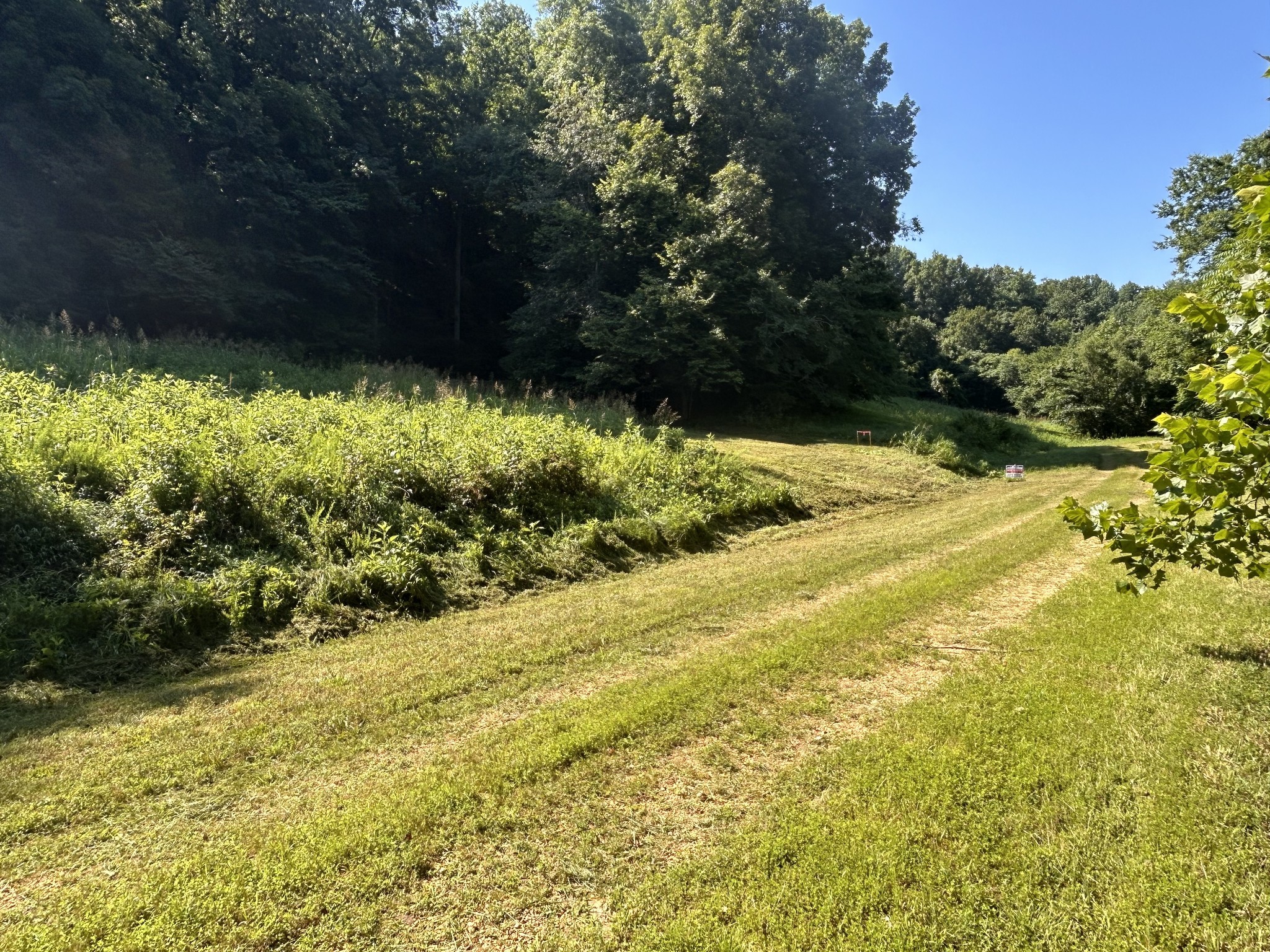 0 East Cave Spring Road Pulaski, TN 38478 - Photo 10 of 93