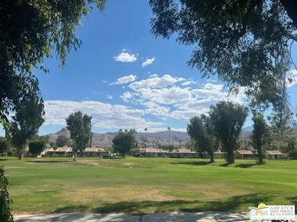 a view of a back yard
