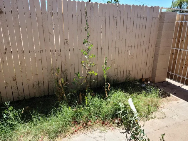a view of garden with wooden fence