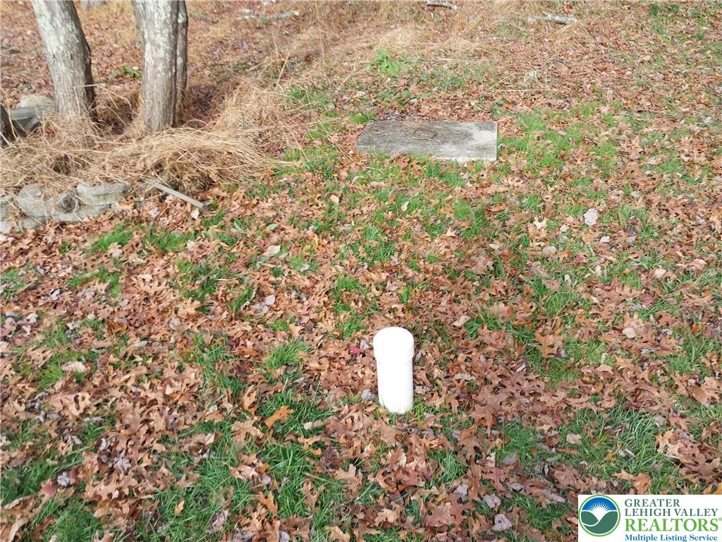 2108 Fox Road Bushkill, PA 18324 - Photo 87 of 98 a close up of a plant