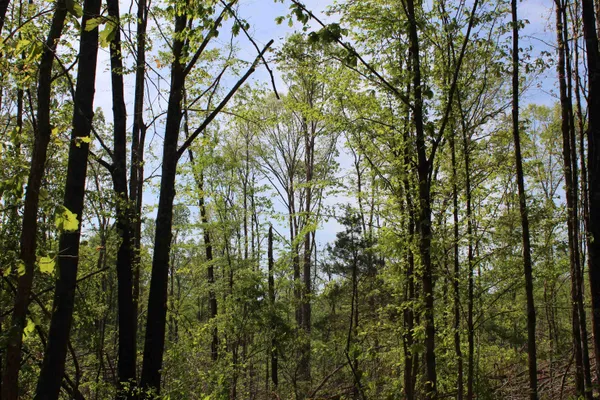 $183,935 | 0 Maroney Road, Medon, TN 38356