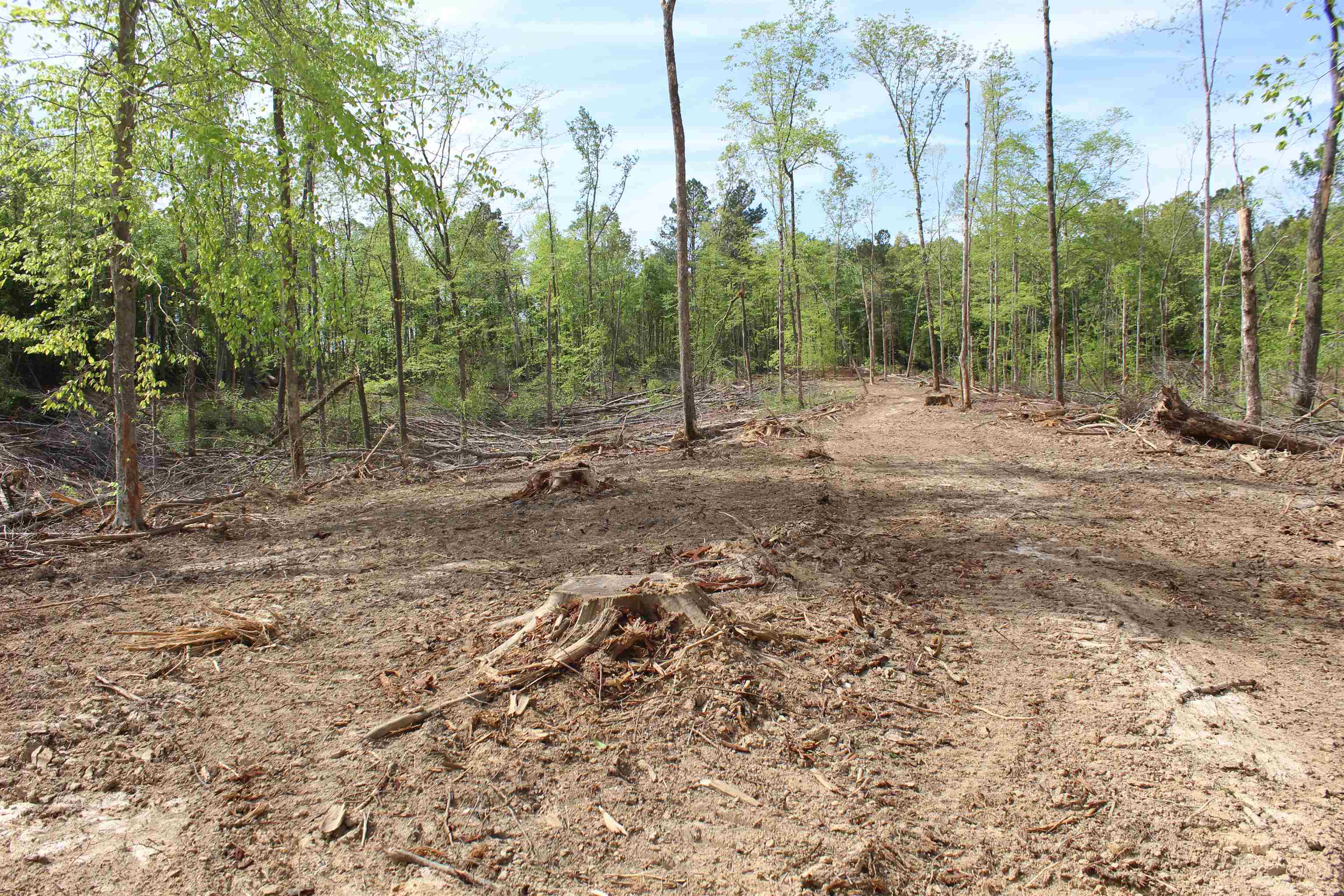 0 Maroney Road Medon, TN 38356 - Photo 11 of 37