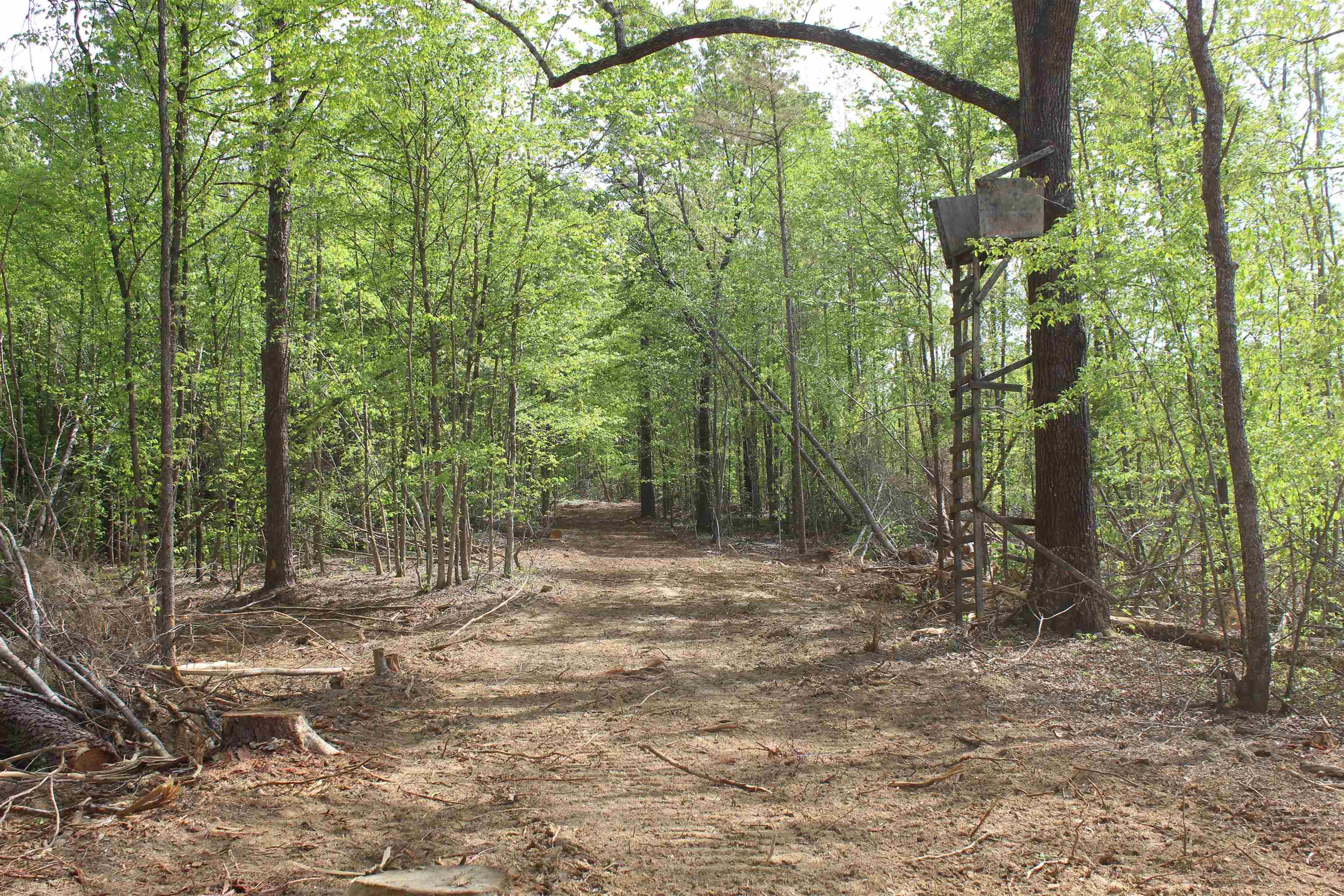 0 Maroney Road Medon, TN 38356 - Photo 12 of 37