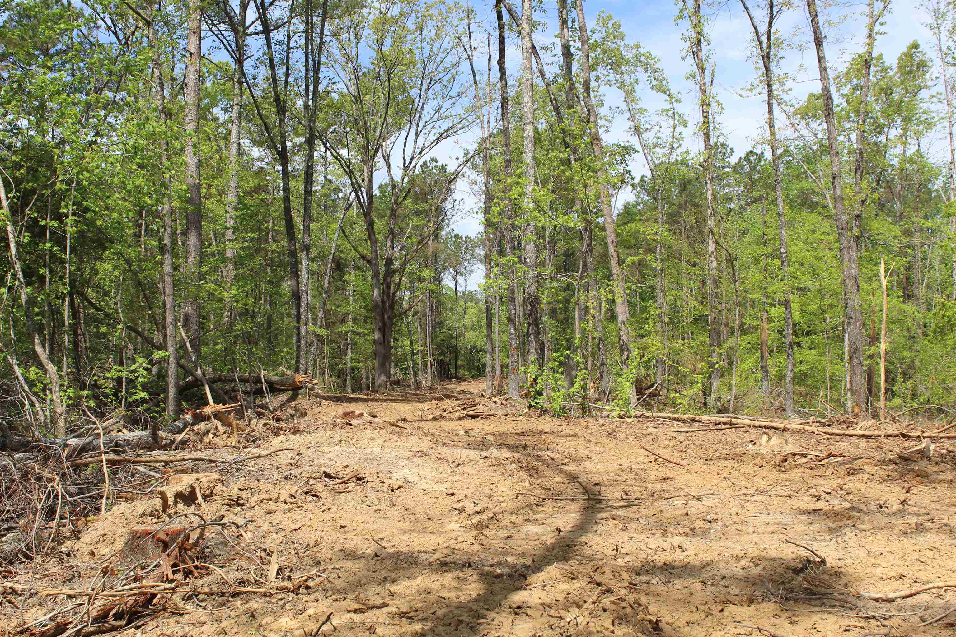 0 Maroney Road Medon, TN 38356 - Photo 16 of 37