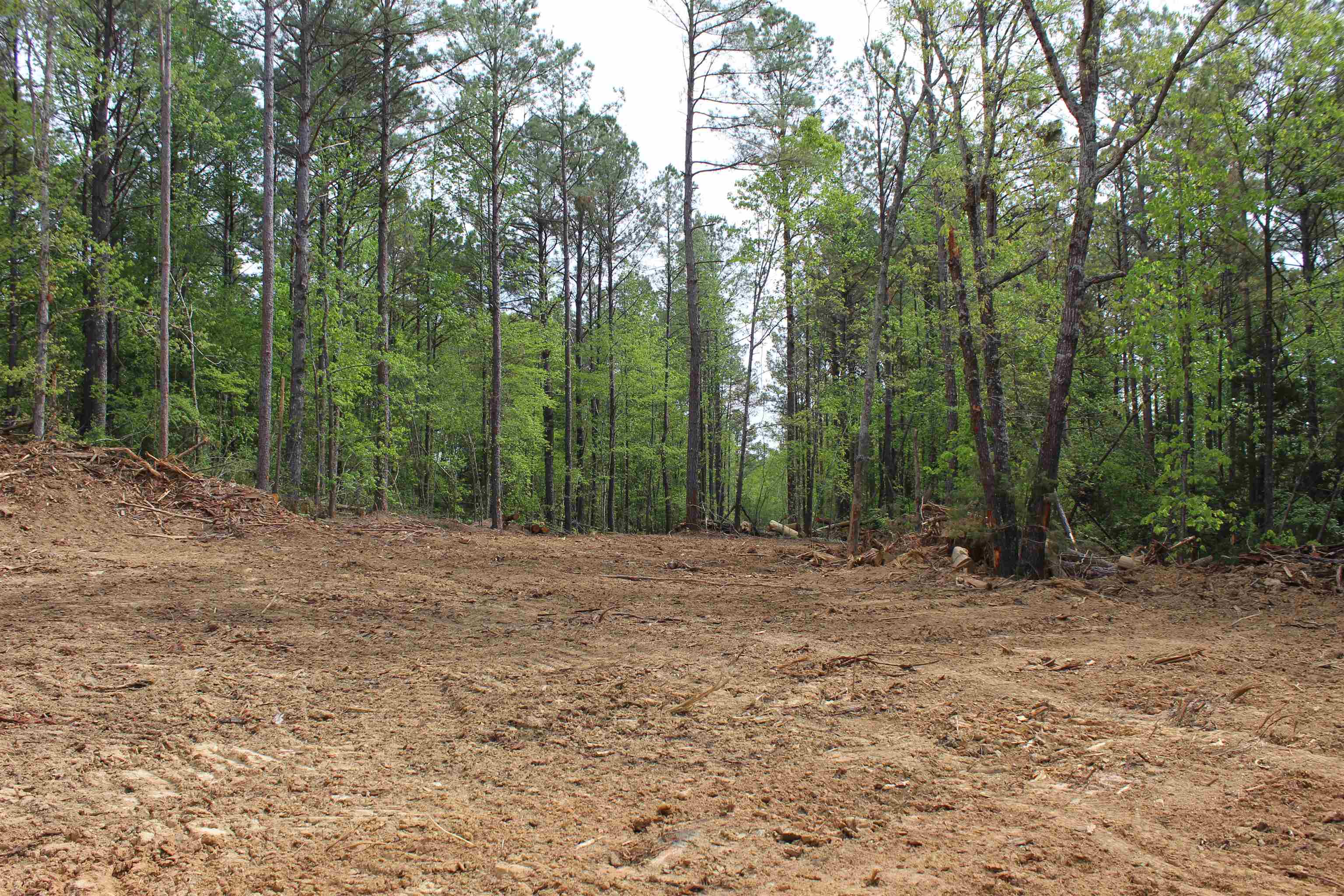 0 Maroney Road Medon, TN 38356 - Photo 2 of 37