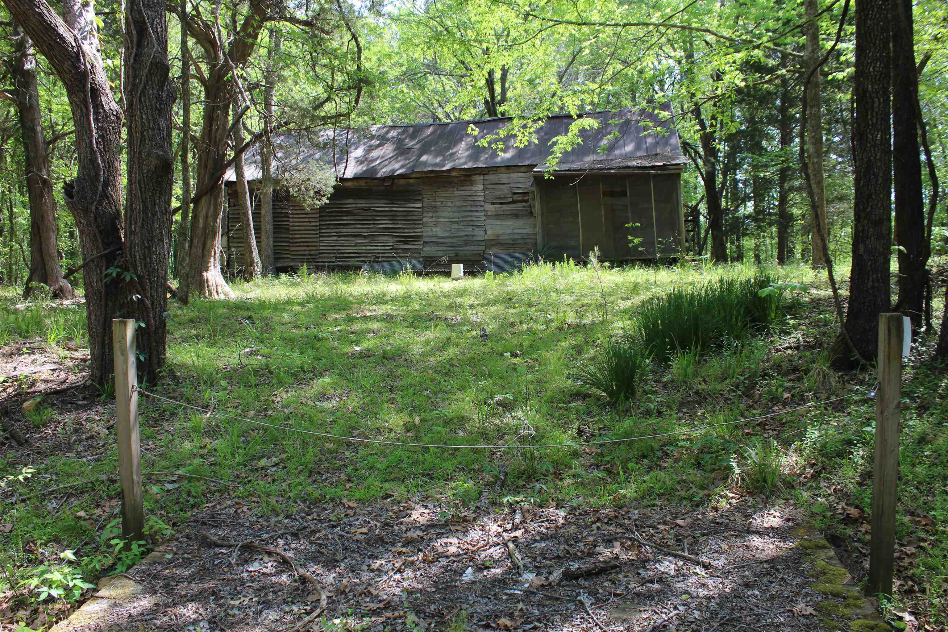 0 Maroney Road Medon, TN 38356 - Photo 24 of 37