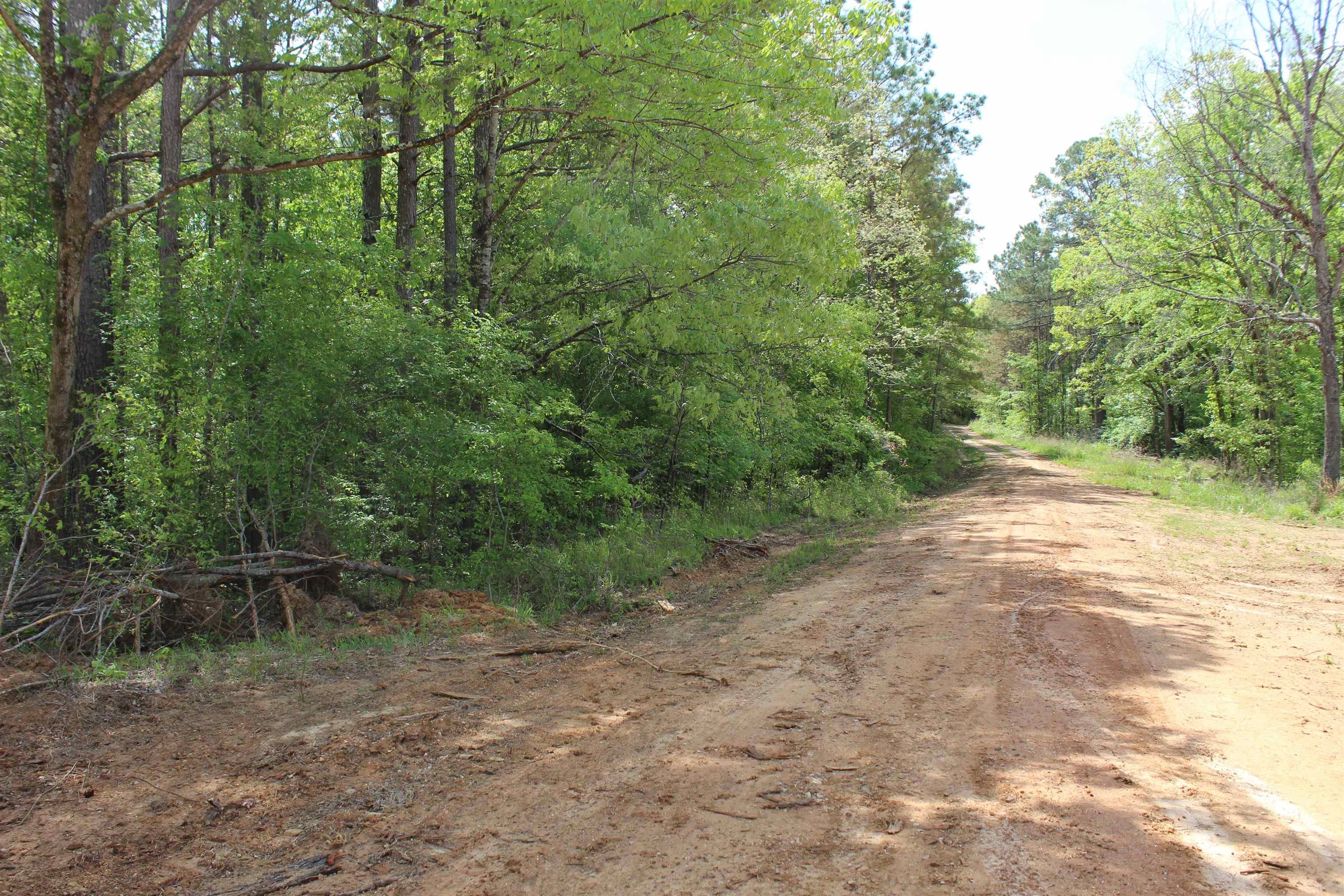 0 Maroney Road Medon, TN 38356 - Photo 26 of 37