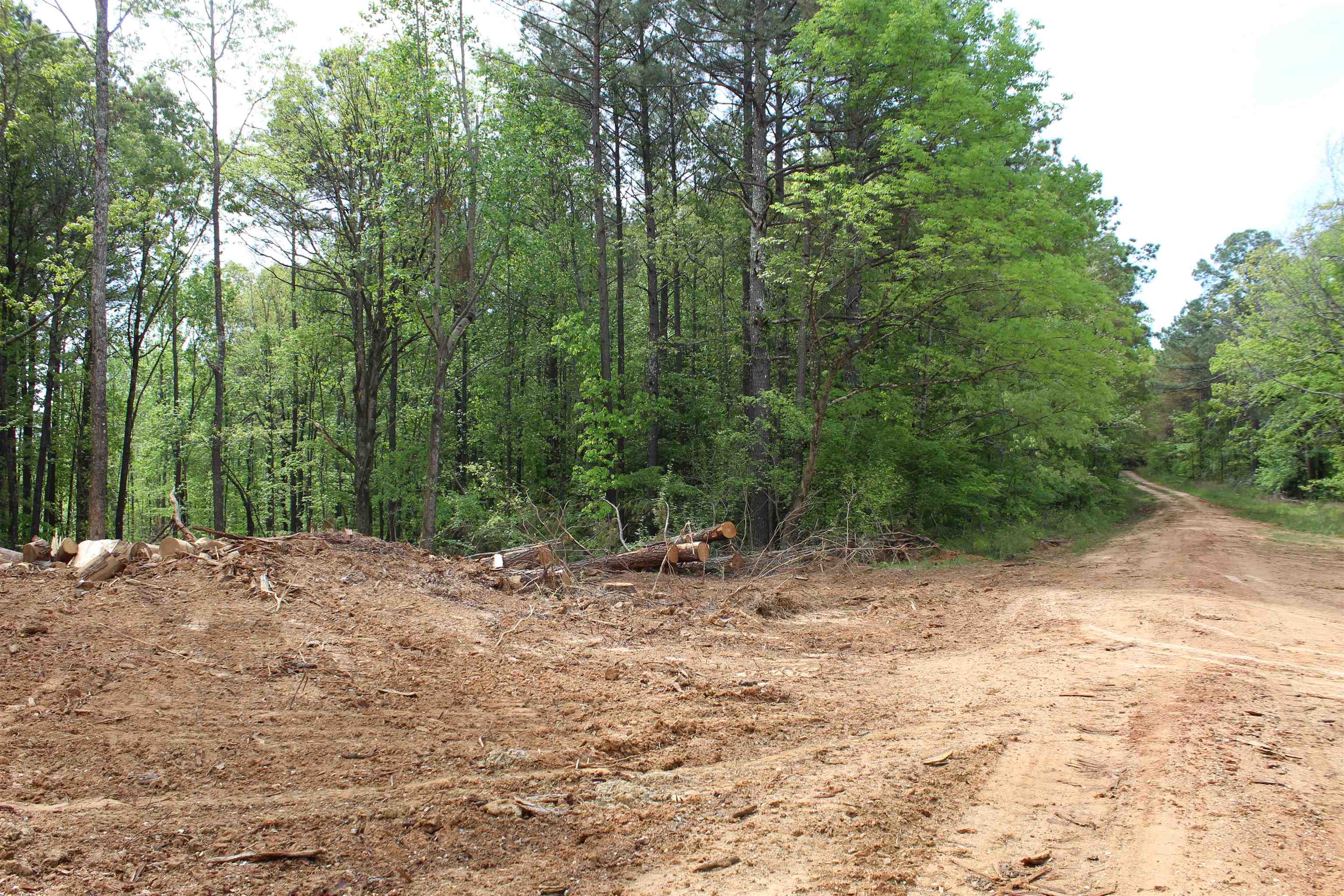 0 Maroney Road Medon, TN 38356 - Photo 3 of 37