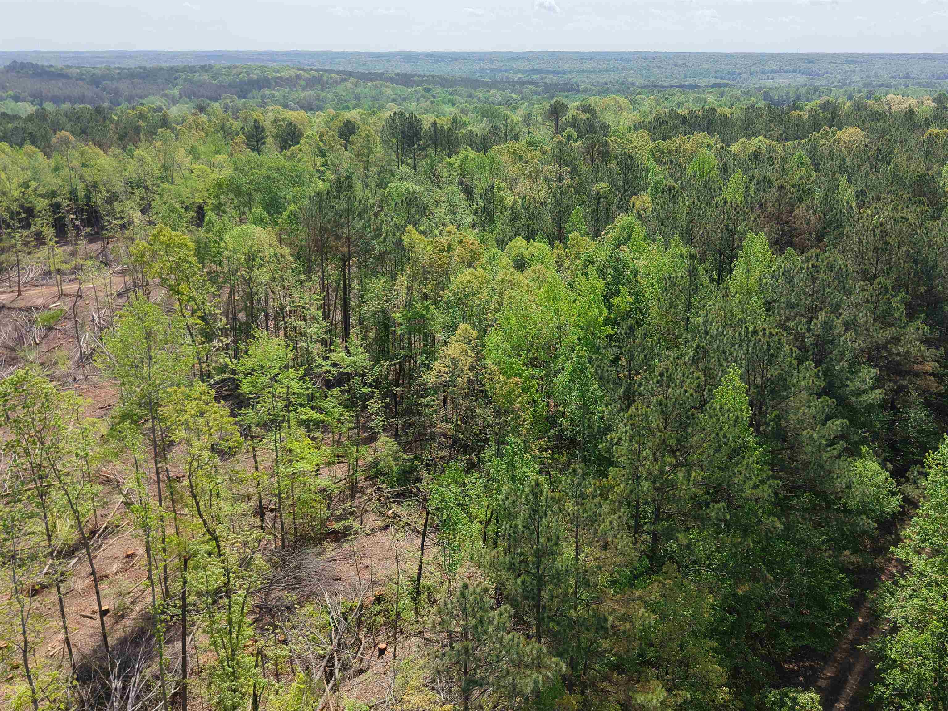 0 Maroney Road Medon, TN 38356 - Photo 37 of 37