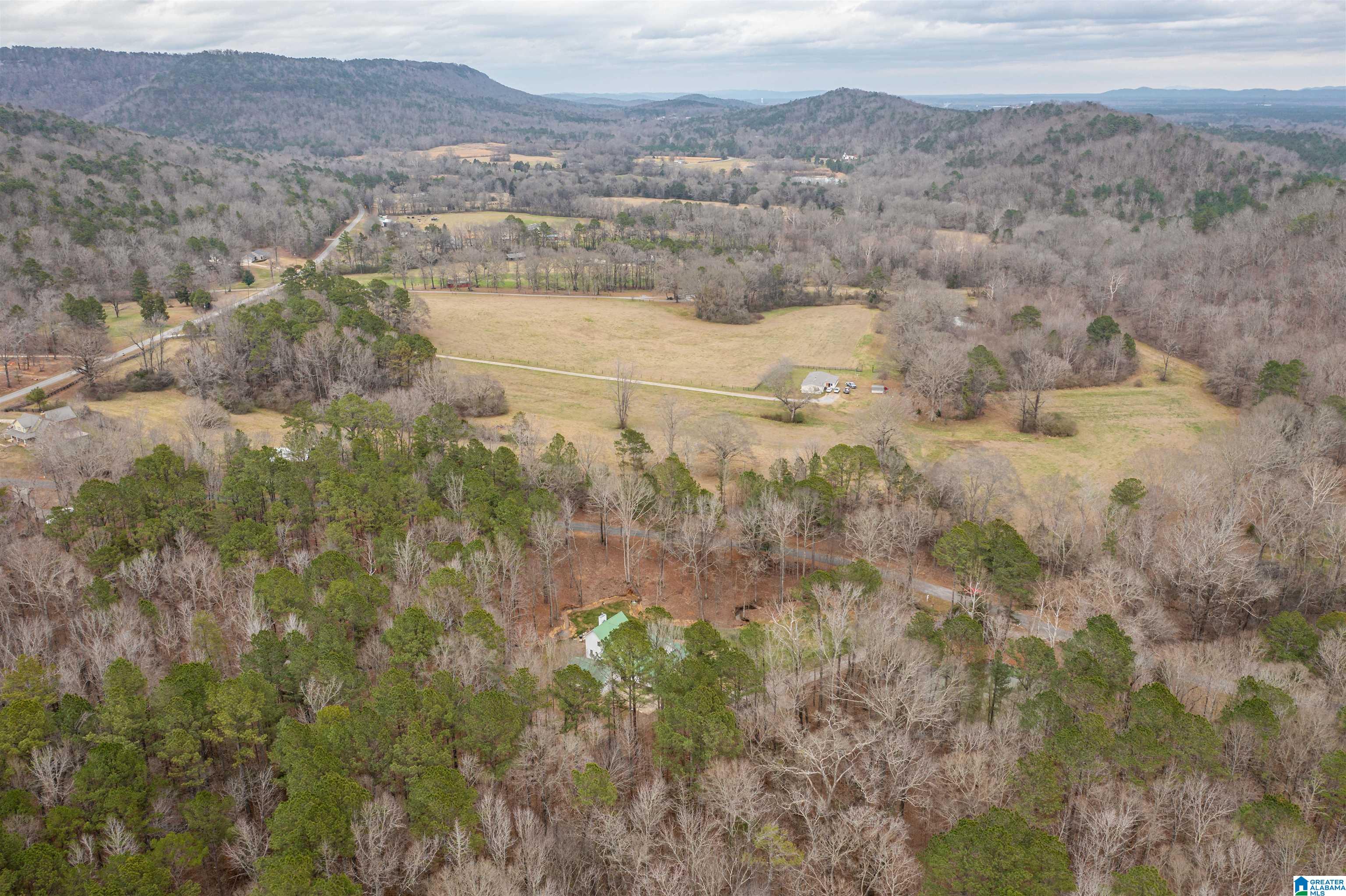 140 Aubra Road Steele, AL 35987 - Photo 40 of 42
