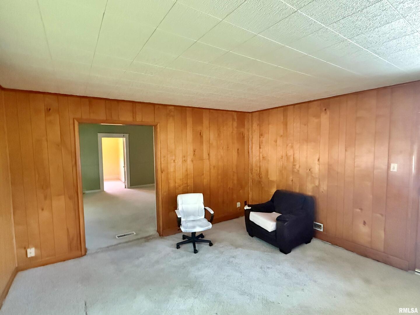 601 East 5th Street Metropolis, IL 62960 - Photo 9 of 53