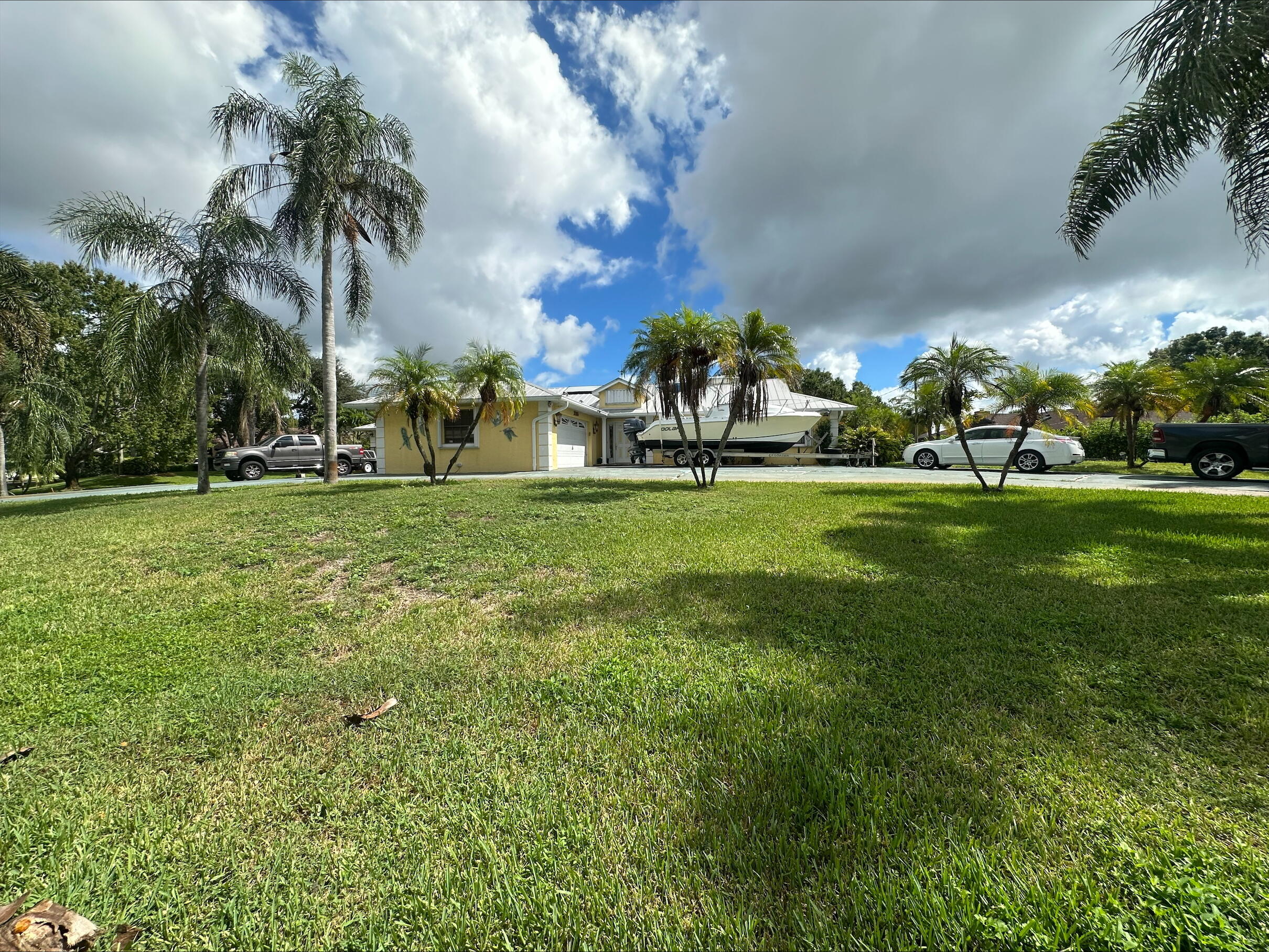 a view of a park with palm trees