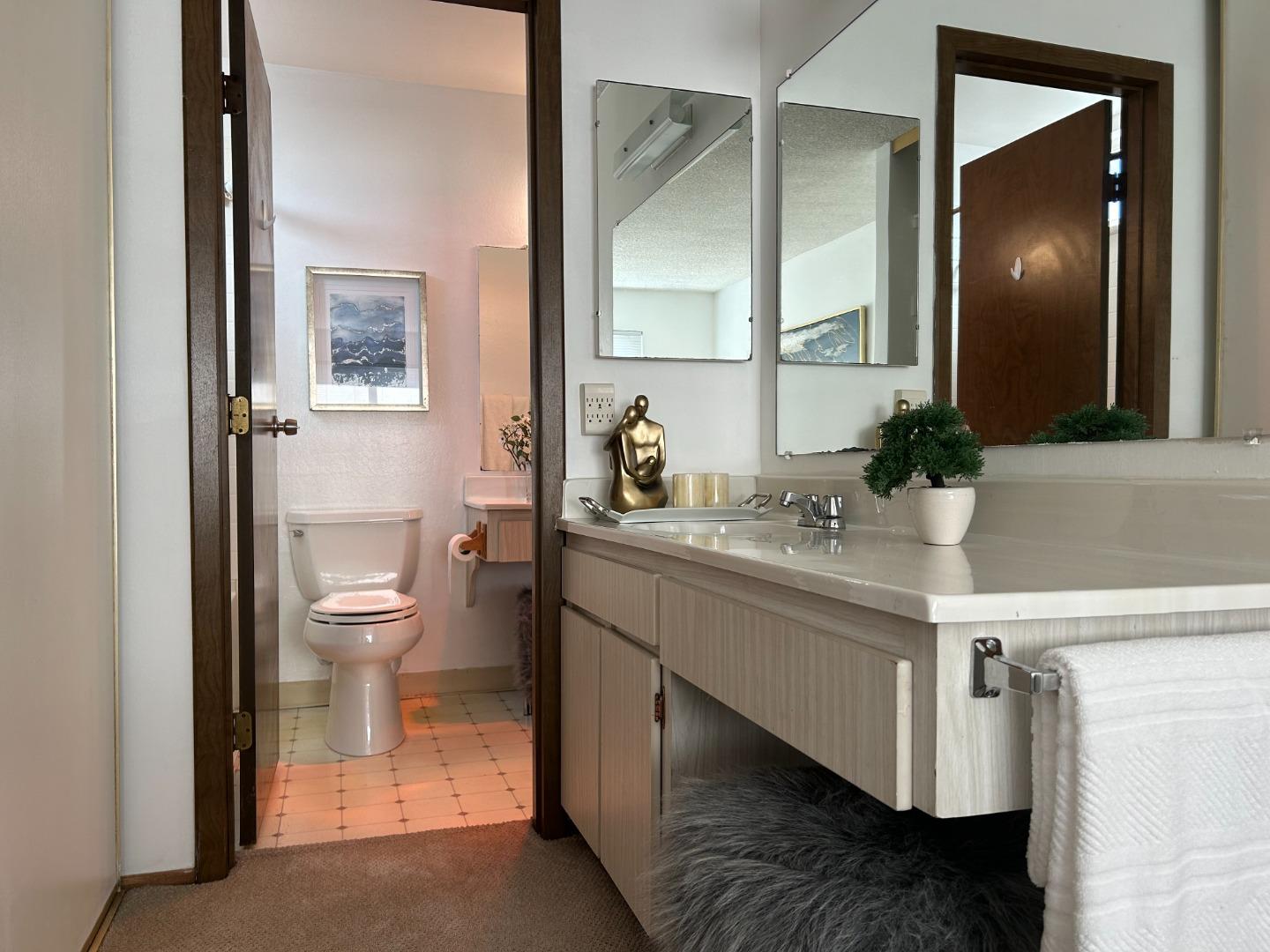 1119 Reed Avenue, Unit C Sunnyvale, CA 94086 - Photo 15 of 20 a bathroom with a sink and a mirror