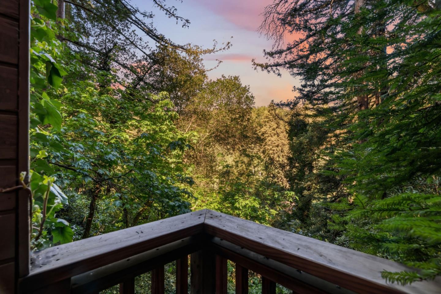 320 Fireside Road Boulder Creek, CA 95006 - Photo 40 of 45 a view of a tree in a balcony