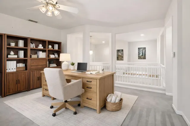 a view of a yard with plants and large trees