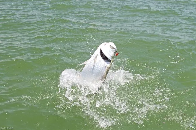 $486,900 | 275 Cays Drive, Unit 2208, Naples, FL 34114