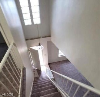 2813 Cacto Court Henderson, NV 89074 - Photo 19 of 28 Staircase with carpet and a towering ceiling