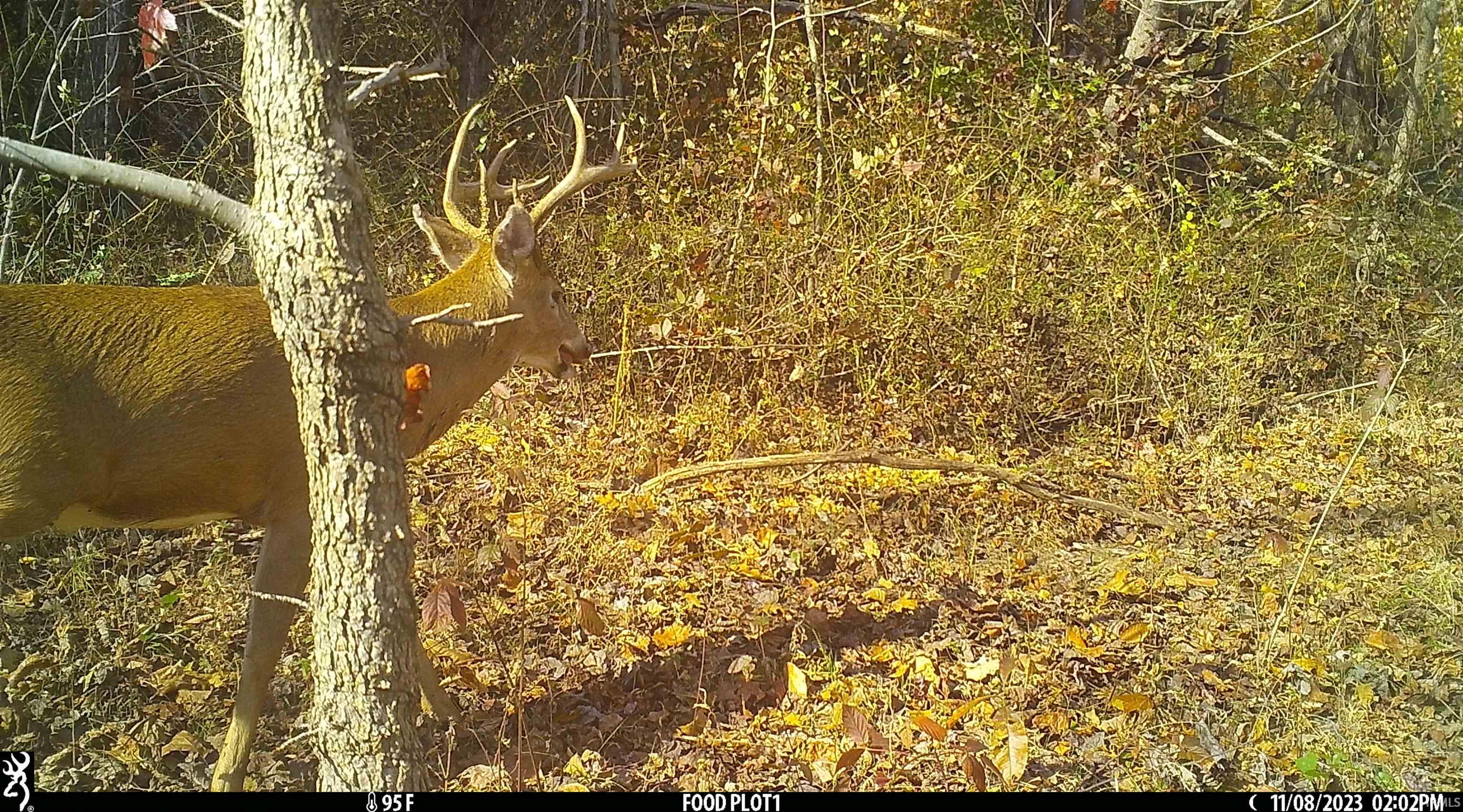 545 Sr Evanston, IN 47531 - Photo 16 of 36