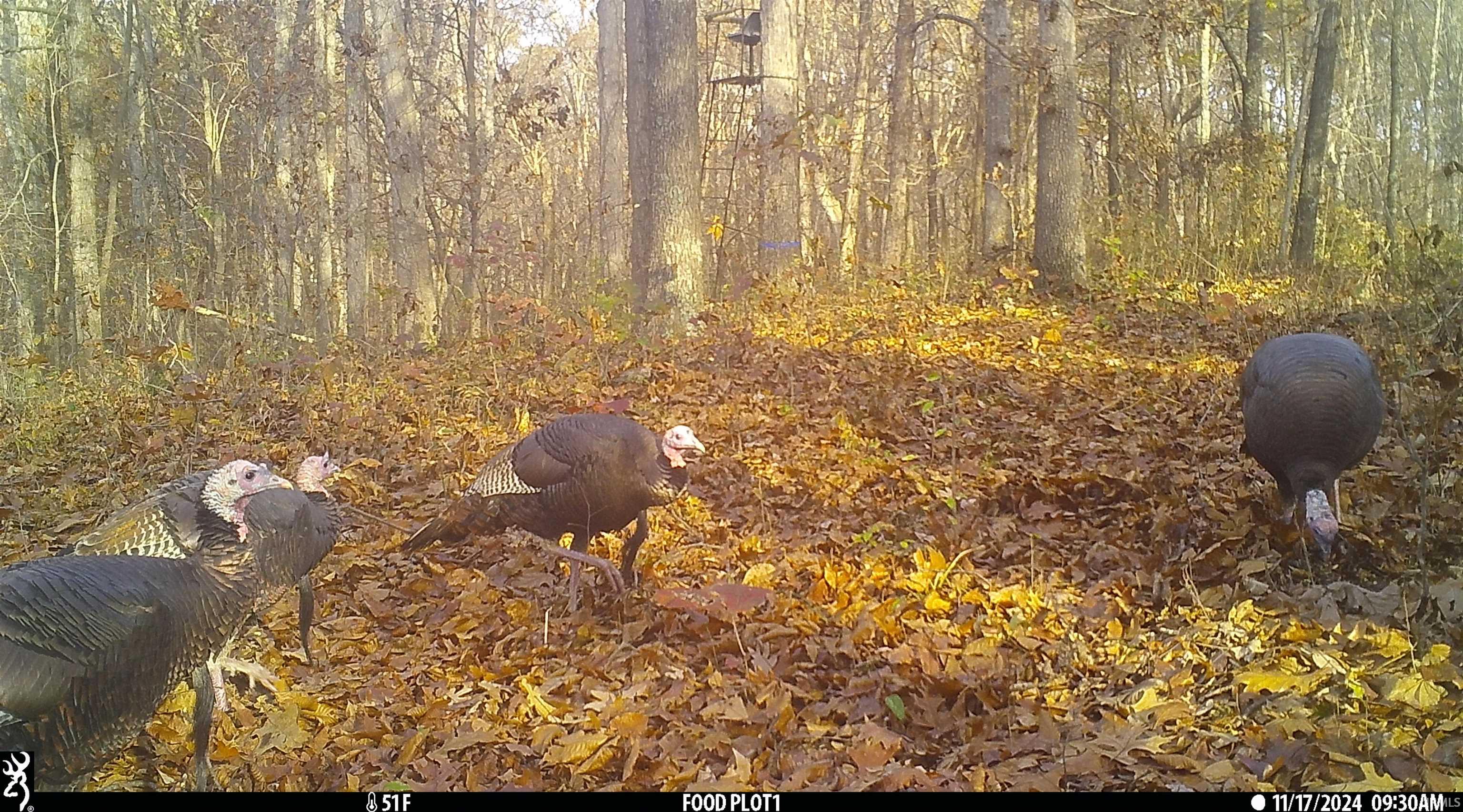 545 Sr Evanston, IN 47531 - Photo 17 of 36