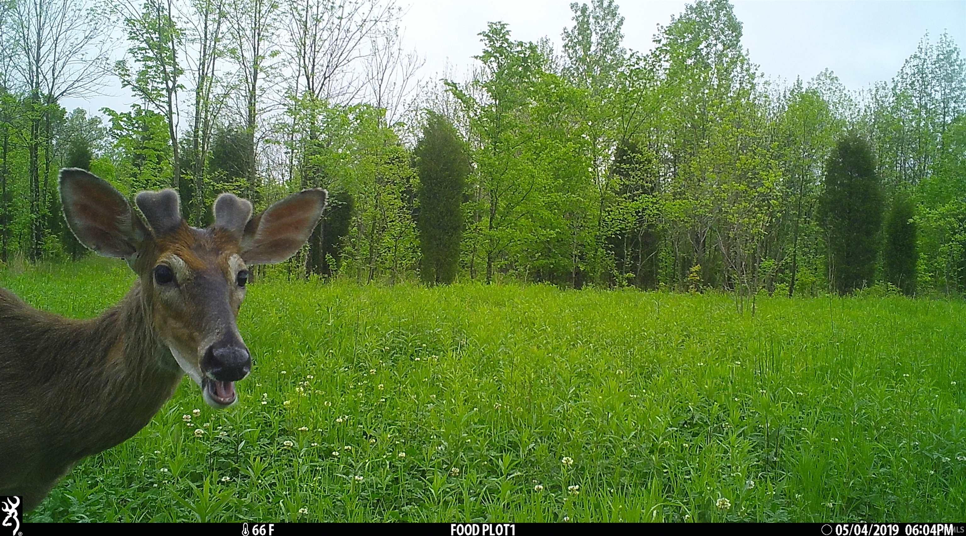 545 Sr Evanston, IN 47531 - Photo 18 of 36