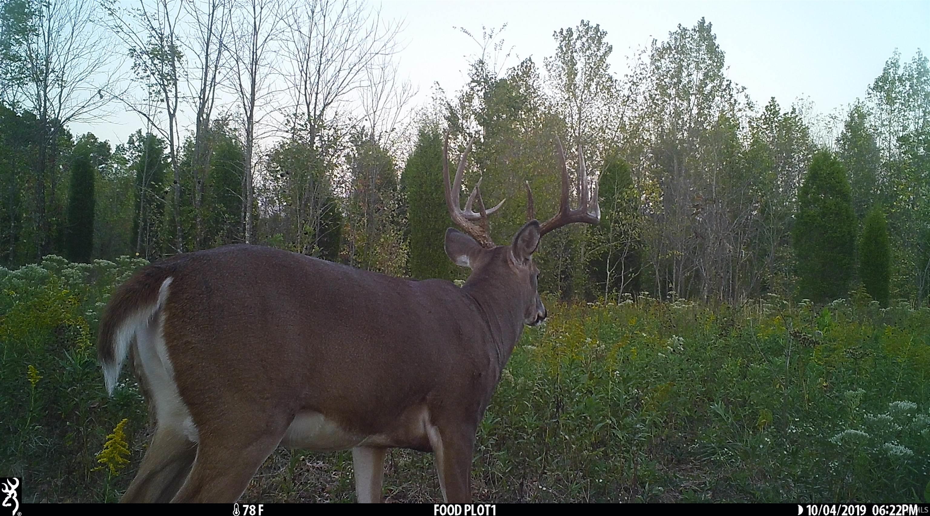 545 Sr Evanston, IN 47531 - Photo 19 of 36