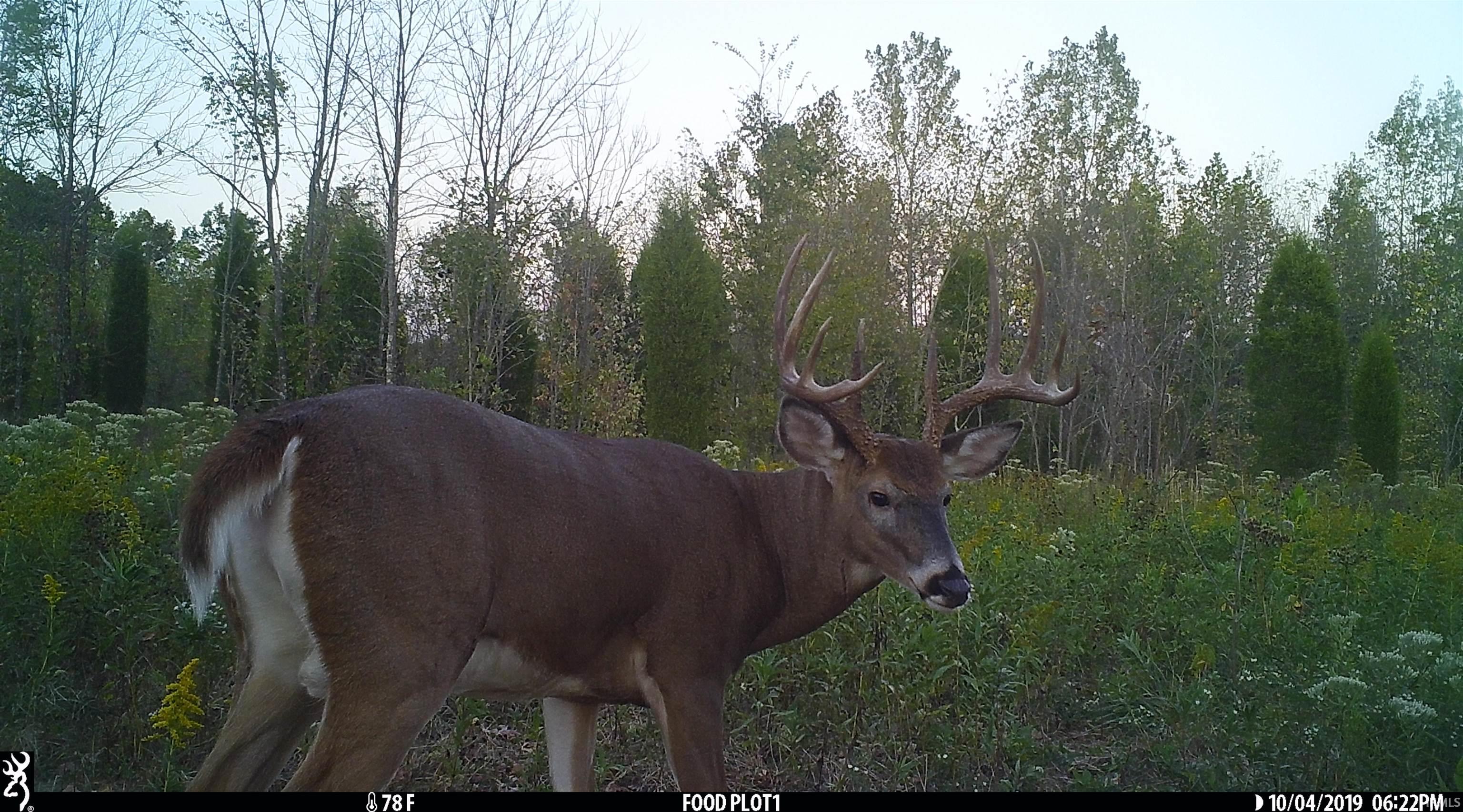 545 Sr Evanston, IN 47531 - Photo 20 of 36