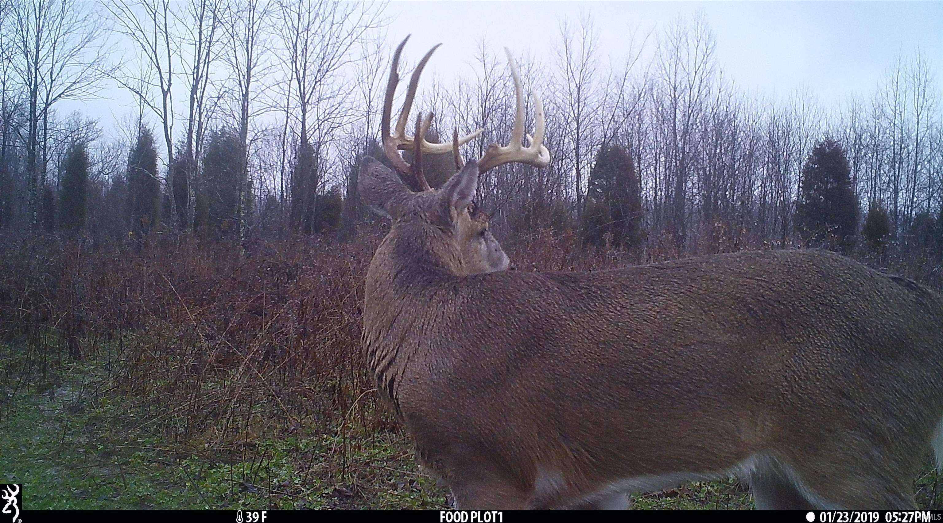 545 Sr Evanston, IN 47531 - Photo 21 of 36