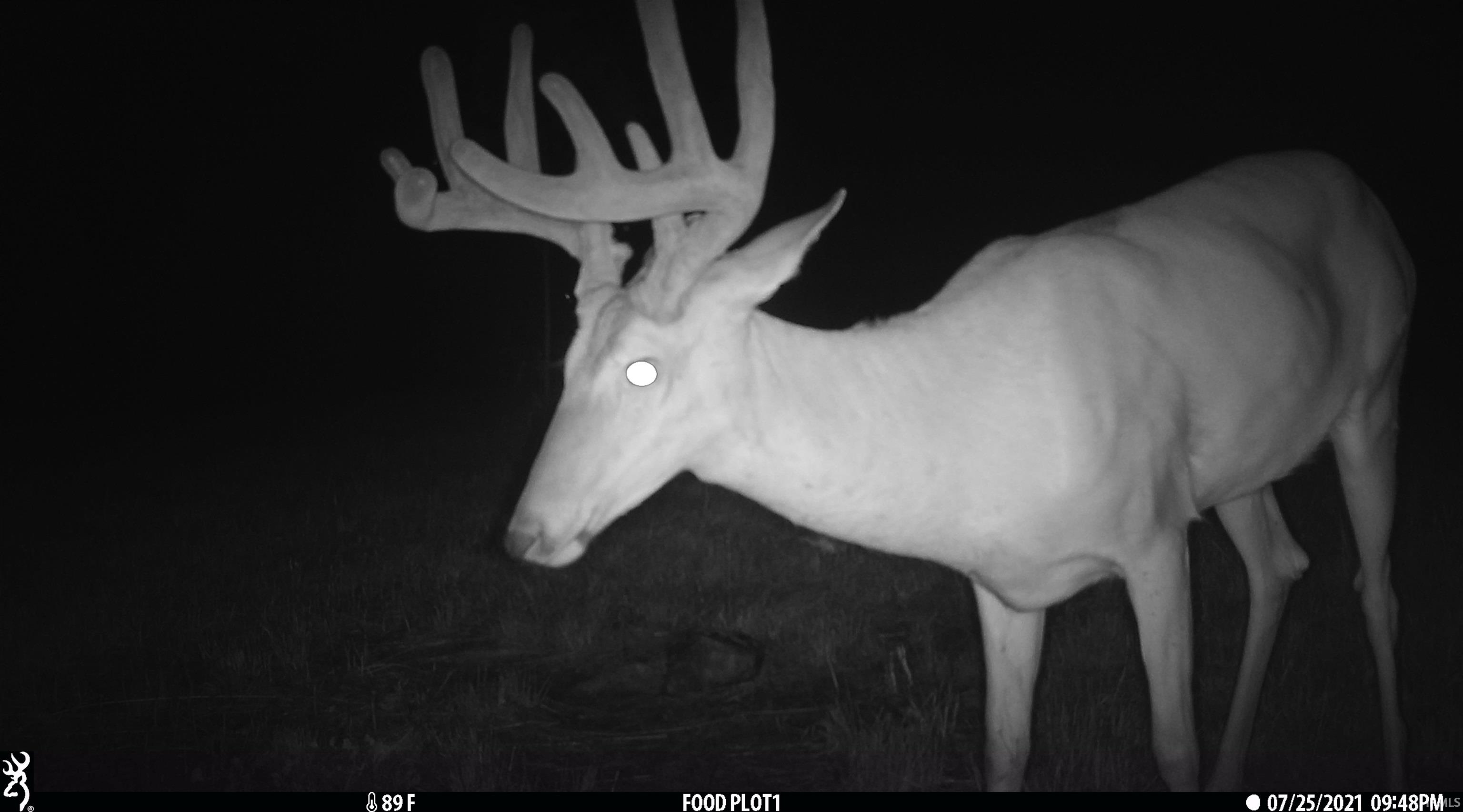 545 Sr Evanston, IN 47531 - Photo 22 of 36