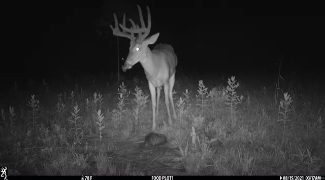 $795,000 | 545 Sr, Evanston, IN 47531