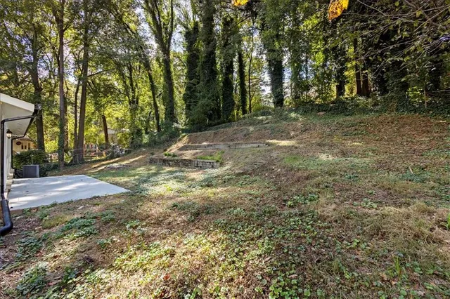 a view of a yard with trees