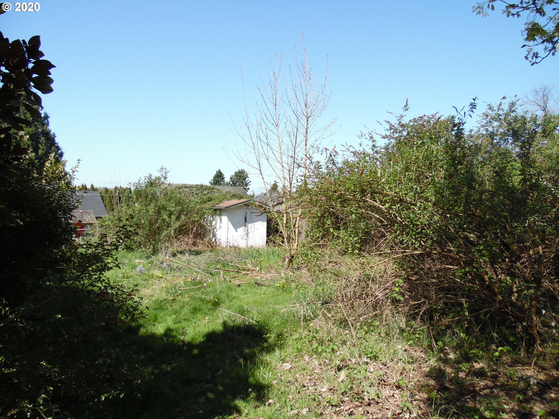 1 North N Avenue Ridgefield, WA 98642 - Photo 3 of 8