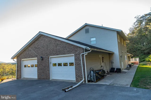 a view of a backyard with large trees and plants