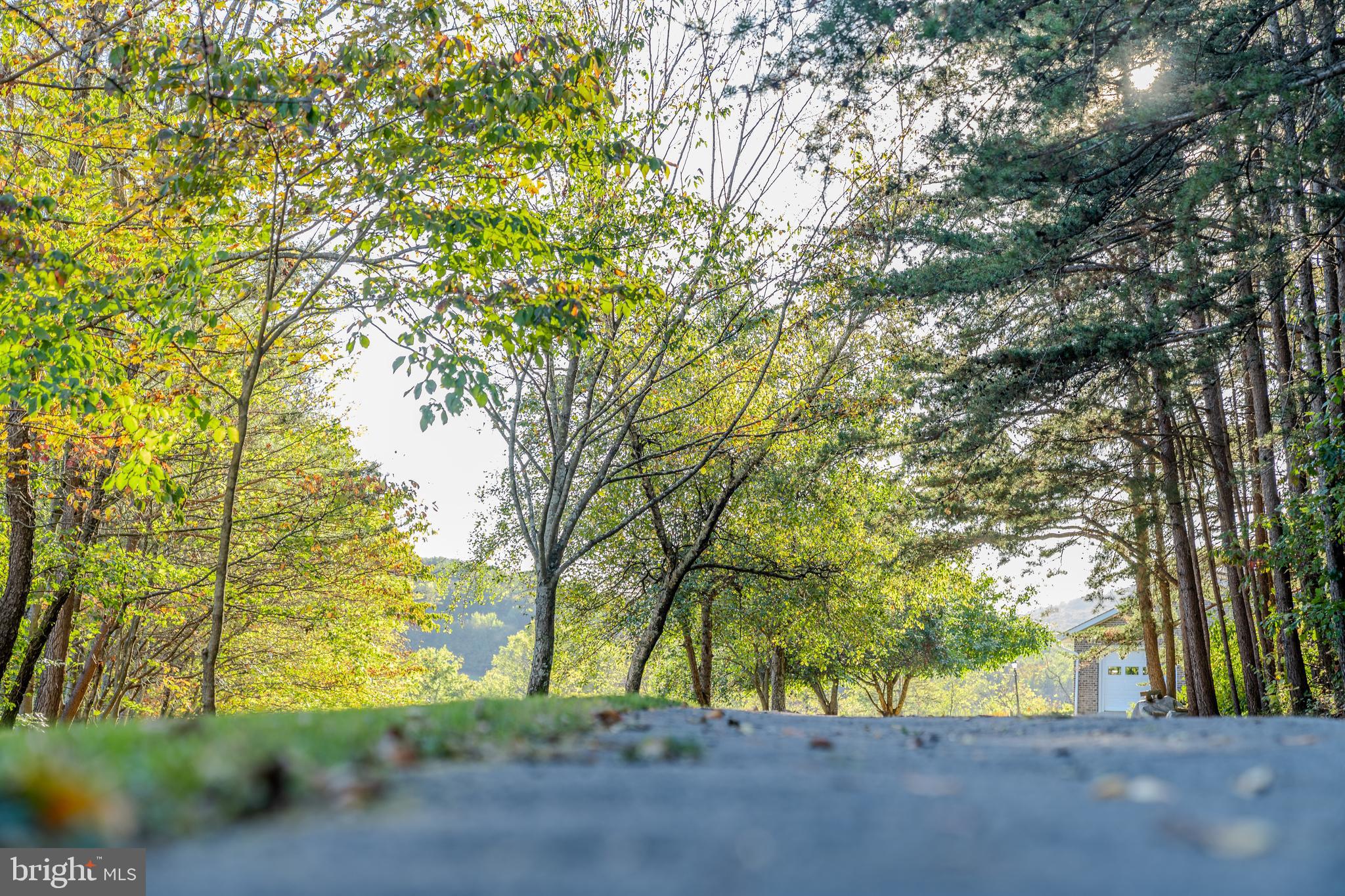 105 Shrefflers Lane McClure, PA 17841 - Photo 21 of 48 a view of a yard with a tree