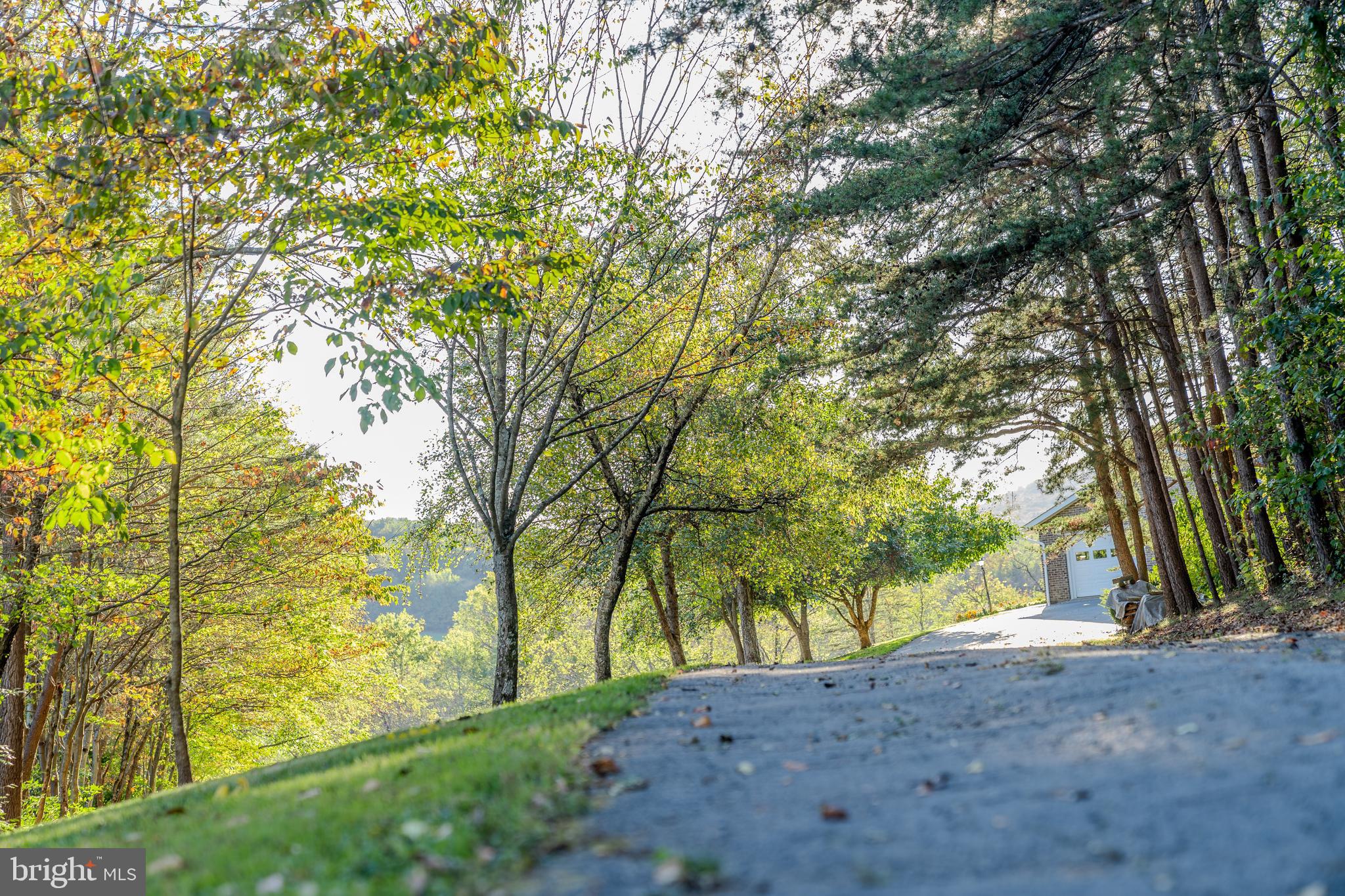 105 Shrefflers Lane McClure, PA 17841 - Photo 22 of 48 a view of a yard with plants and trees