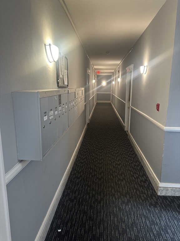 9 Colborne Road, Unit 11 Boston, MA 02135 - Photo 11 of 11